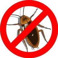 Kit Disinfestazione Blatte, prodotti contro gli scarafaggi.